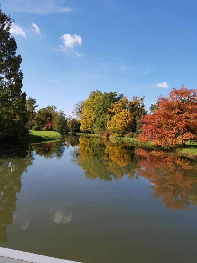 Ubytování nad sklípkem Valtice Exteriér fotografie