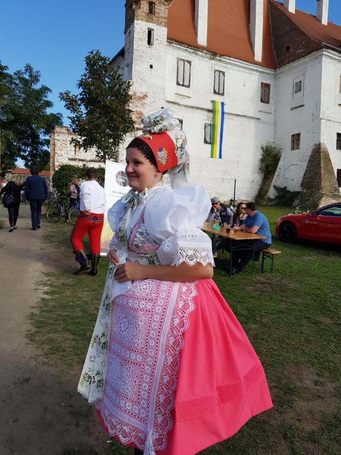 Ubytování nad sklípkem Valtice Exteriér fotografie